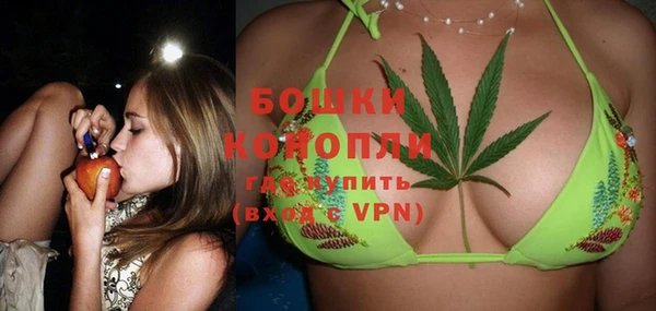 spice Няндома