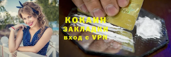 spice Няндома