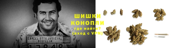 сатива Нязепетровск