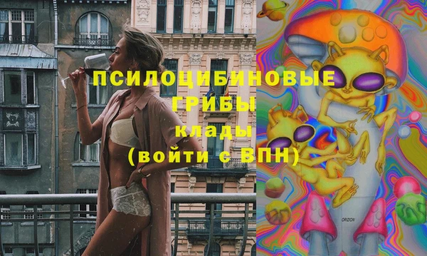 spice Няндома