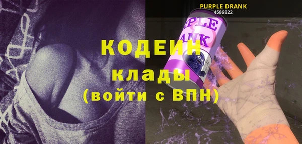 дживик Болотное