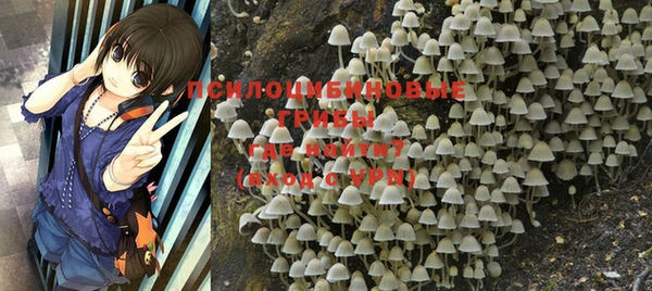 mdma Новодвинск