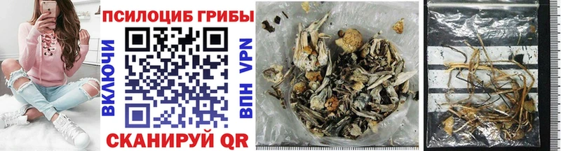 Галлюциногенные грибы Psilocybine cubensis  даркнет сайт  Заполярный 
